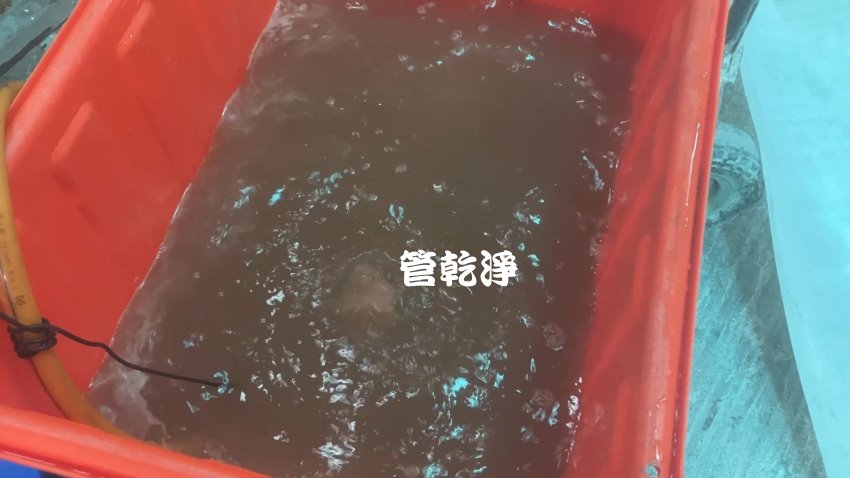 洗水管, 水管清洗, 管乾淨, 洗機台管路